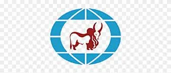 IndusInd Bank logo